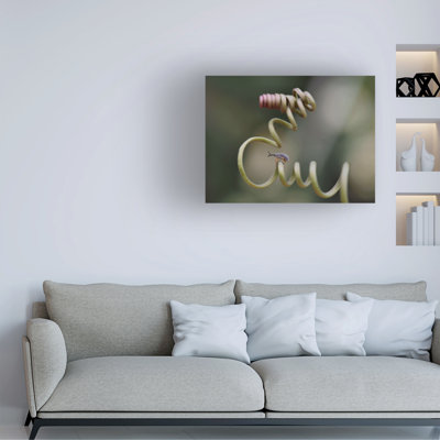 Thierry Dufour The Rollercoaster Canvas Art