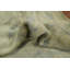 Tapis turc Oushak 10 x 14