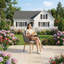 Fauteuil d'extérieur Parkview