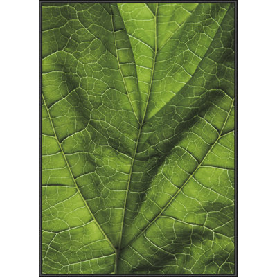 Single Picture Frame Print