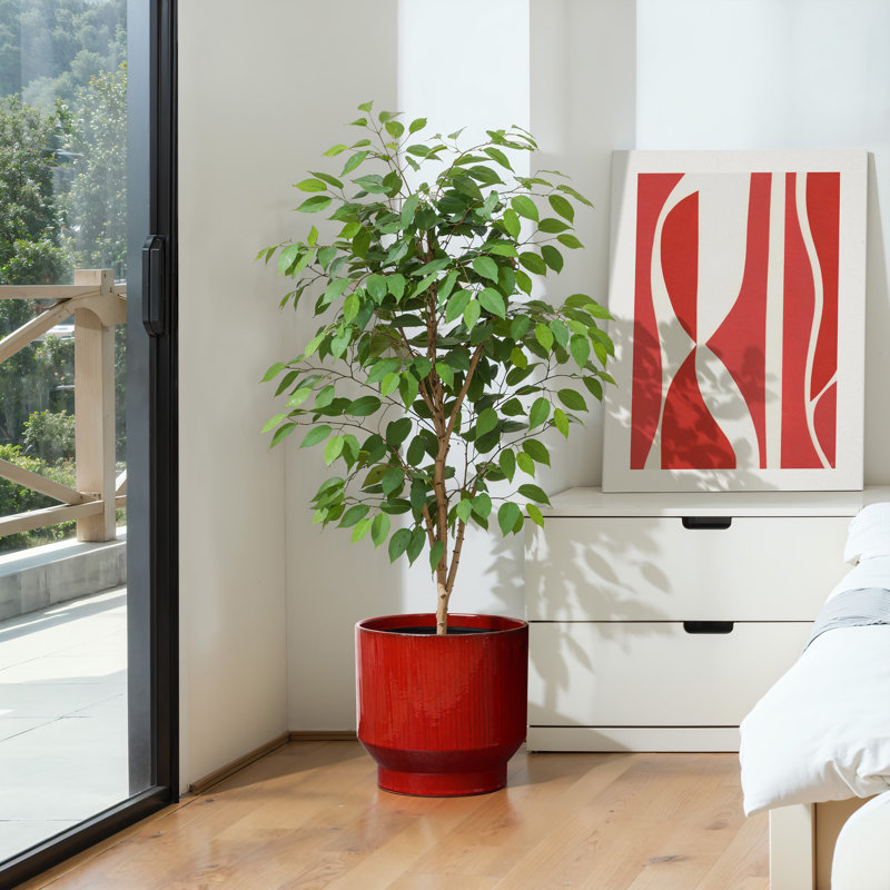 Pot à fleurs rond rouge en céramique, H 10,83 po x l 11,42 po x P 11,42 po