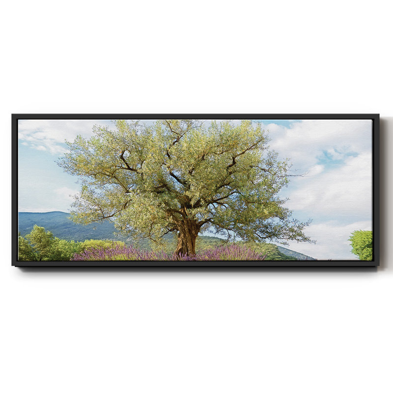 Olive Tree- Framed Canvas, 12" H x 30" W