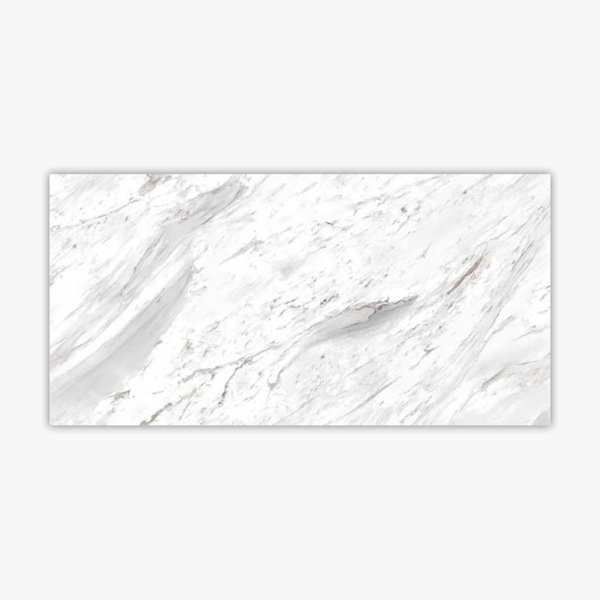 Bianco Carrara 24" x 48" Porcelain Marble Look Wall & Floor Tile