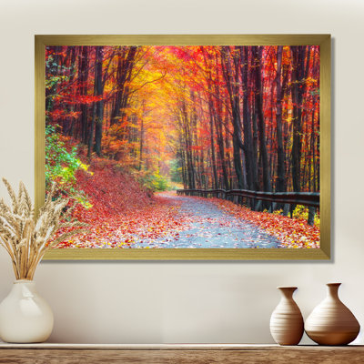 Autumn forest Canvas print - Road In Beautiful Autumn Forest Photograph Print