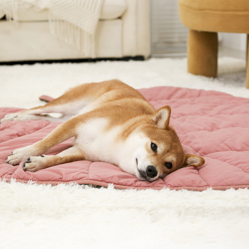  Leaf Shape Pet Blanket, Anthurium Pink