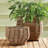 Birch Lane™ Pallie Seagrass Planter-55380267