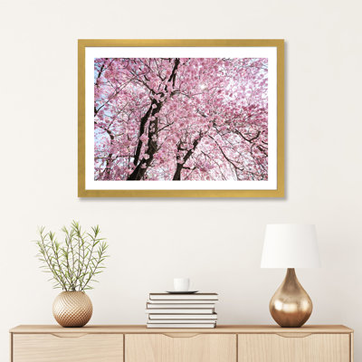 " Cherry Blossom " by Stefan Hefele