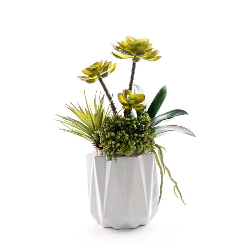 Faux Succulent Plant in Ceramic Planter