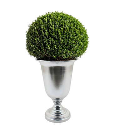Silver Trophy Vase, 14.5 Inches