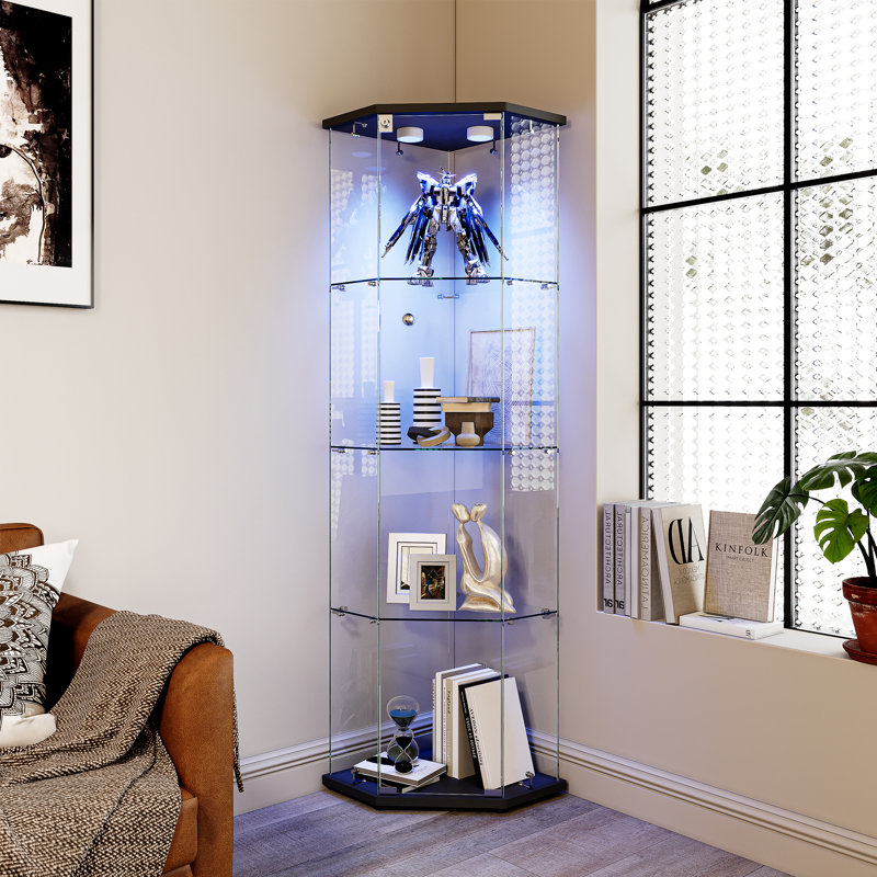 Display Cabinet, Black, LED Puck Lights