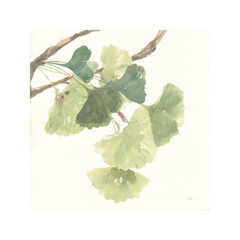 Light Gingko Leaves I by Chris Paschke - Wrapped Canvas Painting, 30.48 cm H x 30.48 cm W, Wrapped Canvas