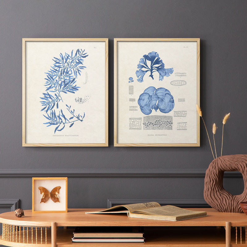 Blue Marine Algae III - reproduction encadrée de qualité supérieure - prête à être accrochée - aucun clou requis - aucun clou requis