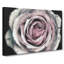 A Pale Pink Rose Painting - Wrapped Canvas-56654791