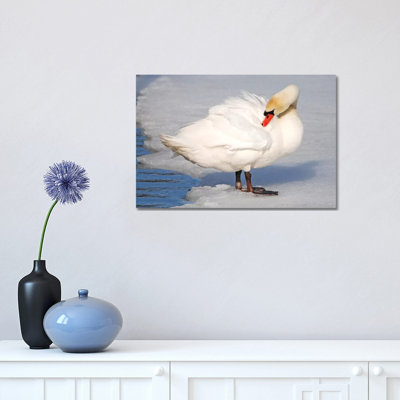Preening by Brian Wolf - Wrapped Canvas Print