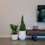 Pot de fleurs Allenville Fiberstone-1717907409-1717968735
