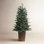 Potted 4' Pre-Lit Spruce Christmas Tree