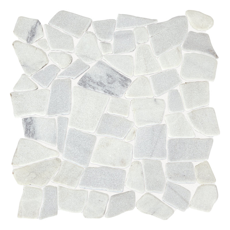 Carreau de mosaïque de plancher et de mur en pierre naturelle tombée 12 po x 12 po Itona Tile (10 pièces par carton) (10,00 pieds carrés par carton)