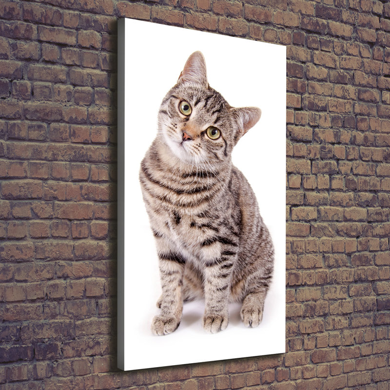 Cat - Wrapped Canvas Print