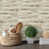 Beige Taupe est en rupture de stock