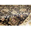 Oriental Area Rug