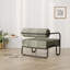 Fauteuil de salon en fer, gris-1067137546