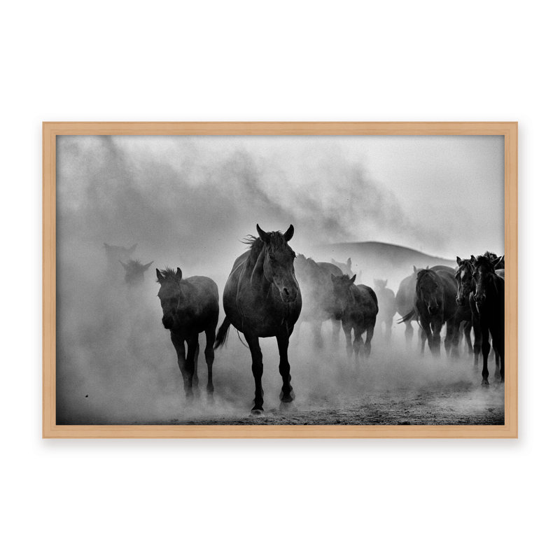 Nature Inspired Untitled by  - Picture Frame Photograph on Paper, 16" H x 24" W x 1.125" D, Black, Framed Matted Print