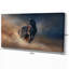 «Black Stallion Horse», reproduction de photo sur toile tendue-29495984