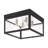 Bartek 4 - Bulb Outdoor Flush Mount-24100155