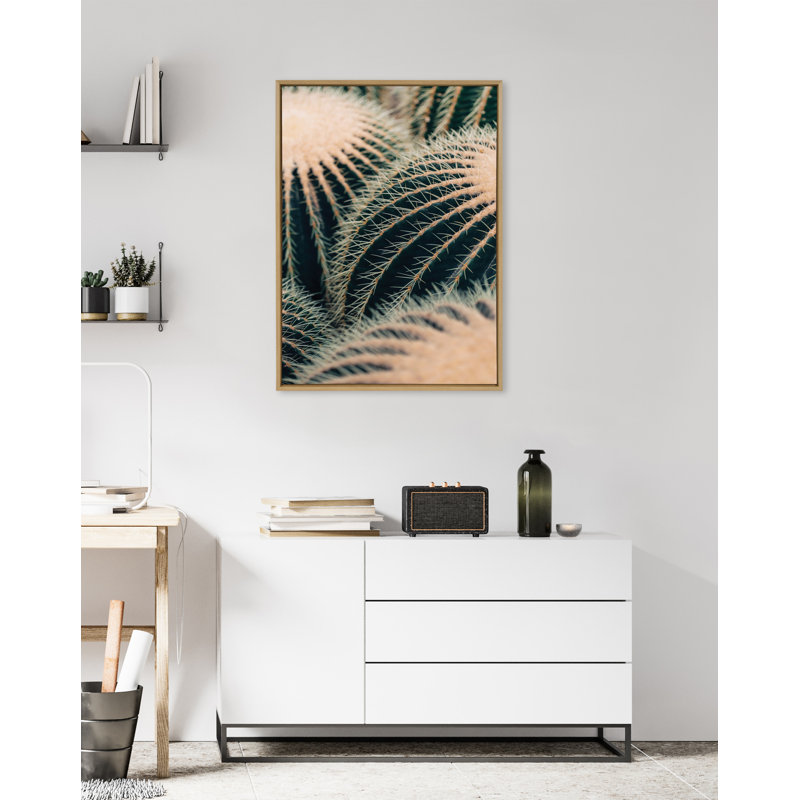 «Barrel Cactus» par Alicia Bock, reproduction d'art sur toile encadrée