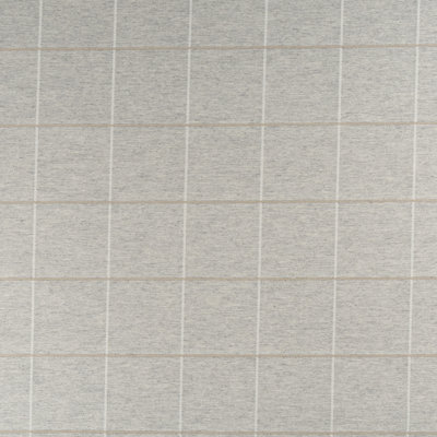 Youngman Striped Fabric