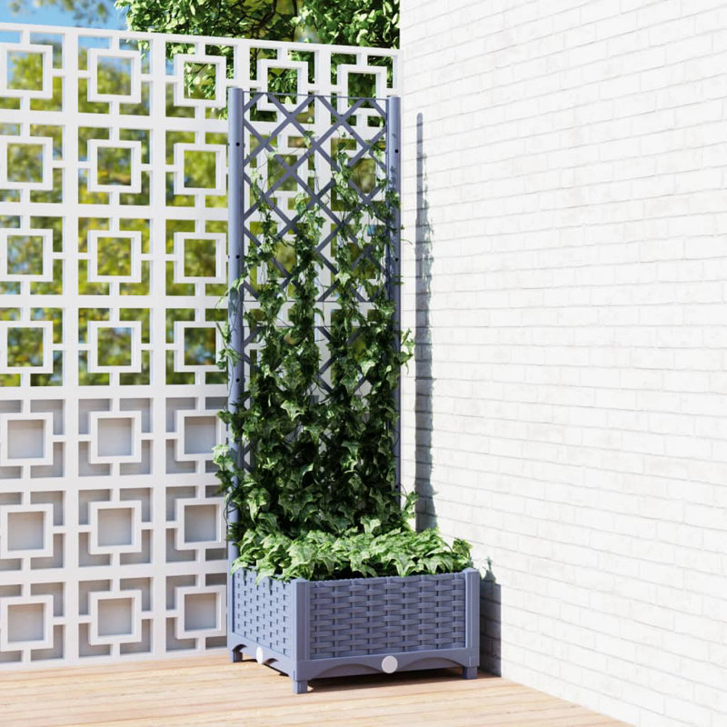 Jardinière avec treillis 15,7 po x 15,7 po x 47,8 po Ebern Designs Ebern, Gris foncé