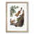Oak Framed selected