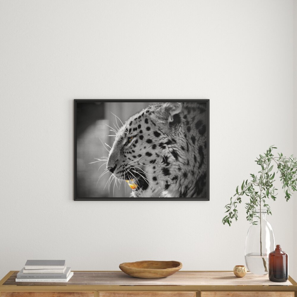 Brüllender Leopard Gerahmter Fotokunstdruck