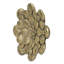 Plaque murale succulente D10x1,6 po