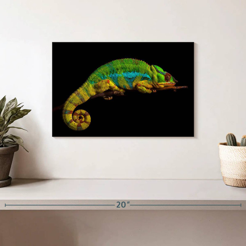 Caméléon Sleeping Panther, H 8 po x l 12 po