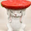 Table d'appoint pour lapin avec plateau de carottes
