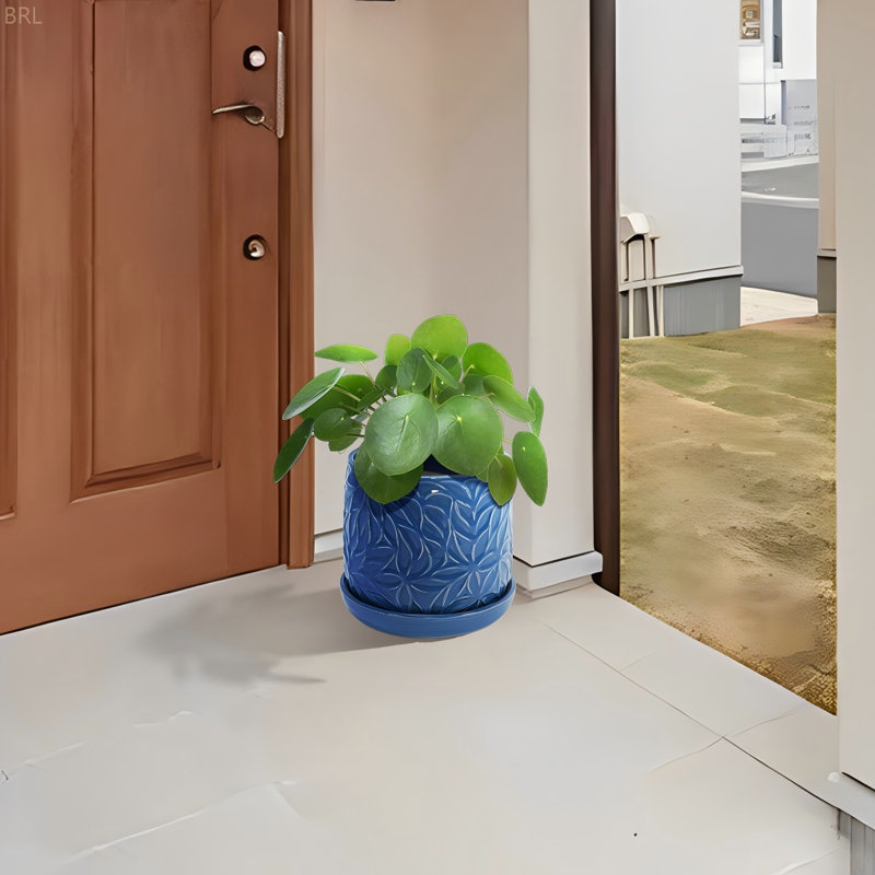 Ensemble de 2 pots de fleurs en céramique dégradés, jardinière moderne pour patio, jardin, rebord de fenêtre