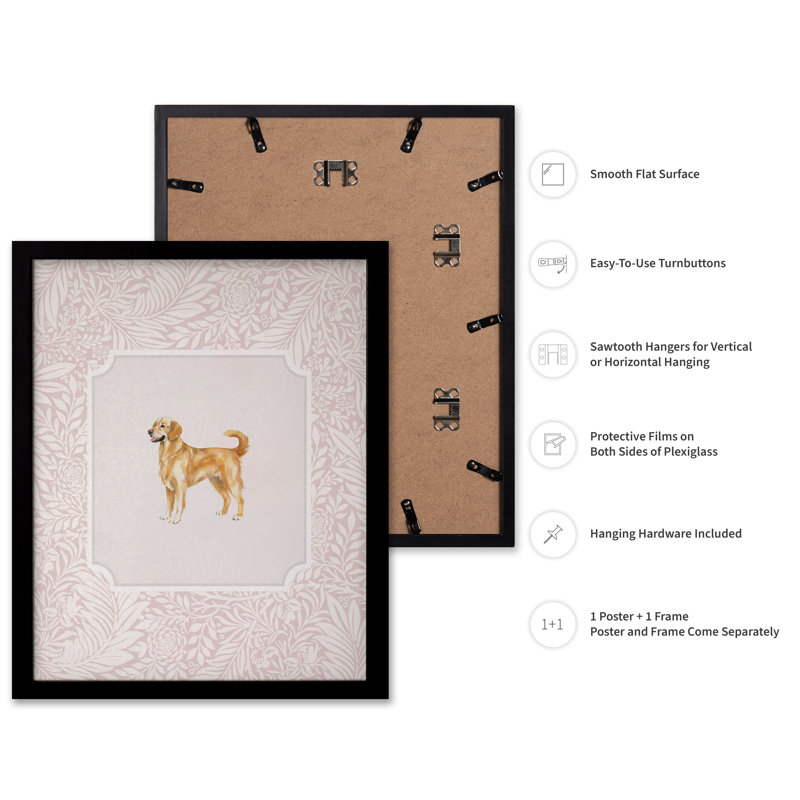 Golden Retriever No2, Cadre noir, Affiche, H 11 po x l 14 po