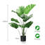 120cm Plant