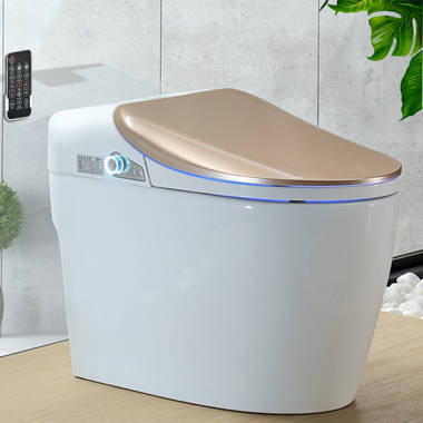 Cosvalve C1040802600 1.28 GPF (Water Efficient) Elongated One-Piece Toilet (Seat Included)