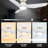 Behrend 44'' Ceiling Fan with LED Lights
