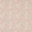 Shell Pink