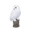  White Snowy Owl on branch | Handcrafted Decorative Bird Statue for Home & Garden | Premium Polyresin, Weather-Resistant Indoor/Outdoor Decor