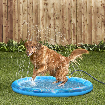 Ferit 0.04'' PVC Foldable Dog Pool