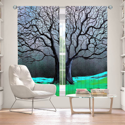 Fayyad Room Darkening Curtain Pair