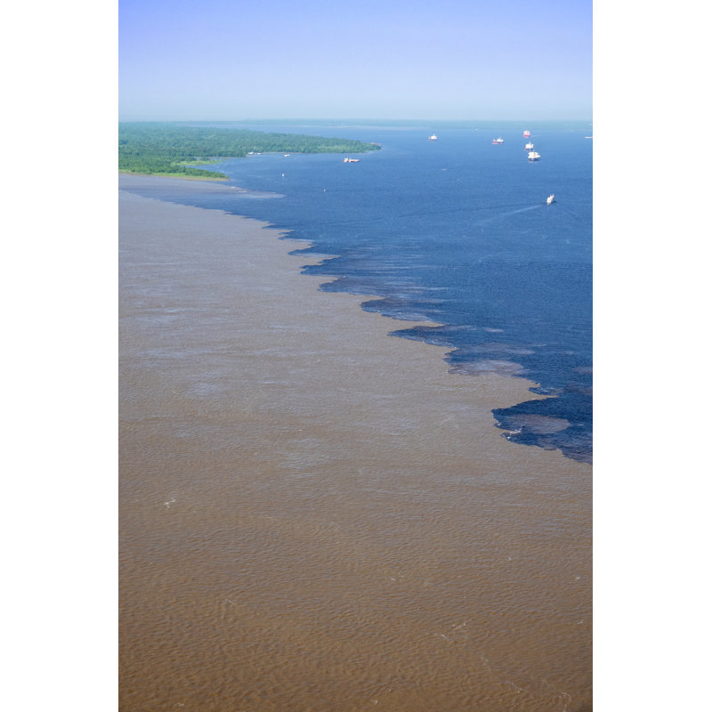 Rivières noires en Amazonie par Luoman, H 48 po x l 32 po