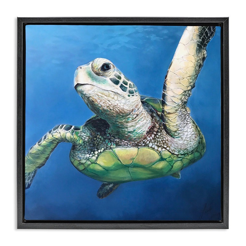 «Sheldon Turtle Portrait», peinture sur toile flottante, conception par Linda Sperruche, Cadre flottant noir de jais