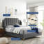 Modway Daniella-1525644559