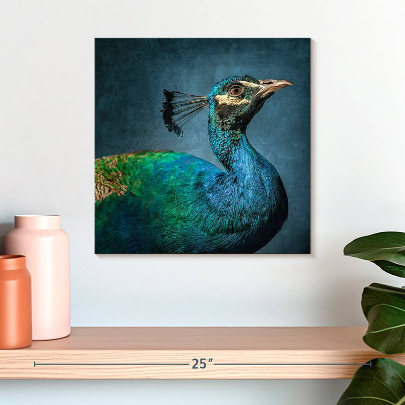 Crowle, portrait de paon bleu, H 16 po x l 16 po