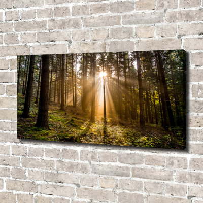 Sunlight - Wrapped Canvas Print